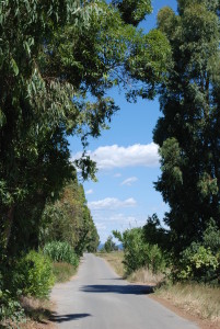 la via verso il mare